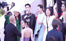 Nhóm nghệ sĩ bị yêu cầu rời thảm đỏ Cannes 2026