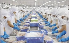 Xuất khẩu thủy sản hướng tới mục tiêu 12 tỷ USD