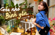 Cô gái trẻ chi 14 triệu đồng cải tạo ban công 6m² thành “khu vườn trên cao”: Nhìn xong chỉ muốn về nhà làm lại ngay