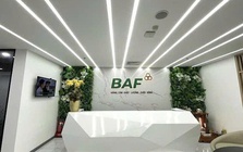 Baf Việt Nam nhận chuyển nhượng 25% vốn góp một doanh nghiệp chăn nuôi tại Gia Lai