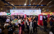 MSN hướng đến 500 triệu USD dòng tiền năm 2026