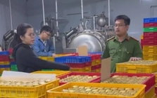 Triệt phá đường dây sản xuất nước yến, yến sào giả quy mô lớn