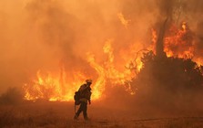 Nhiều khả năng xuất hiện đợt El Nino cực mạnh