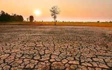 "Siêu quái vật" có khả năng xuất hiện trong năm 2026 gây ra nhiều hình thái thời tiết cực đoan, doanh nghiệp nào hưởng lợi?
