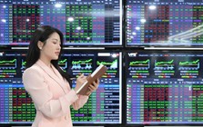 Nhóm cổ phiếu nào giàu tiềm năng tăng trưởng thời gian tới?