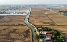 Bỏ cọc hàng loạt sau 'sốt' đấu giá đất vùng quê