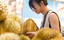 Khi Trung Quốc thay đổi, Việt Nam tăng tốc: 'Ngôi vương’ Thái Lan đối mặt thách thức từ mọi phía