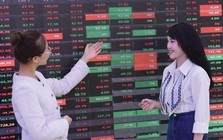 Cổ phiếu Big4 và dầu khí kéo VN-Index thoát hiểm phiên đầu tuần