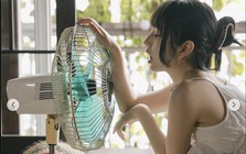 4 mẹo dùng quạt điện mùa hè vừa mát vừa tốt cho sức khỏe, tiết kiệm điện