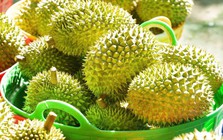 Sầu riêng rớt giá: Lối ra nào cho 'vua' trái cây?