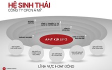 AMY GRUPO cán mốc 7.000 tỷ doanh thu sau một thập kỷ
