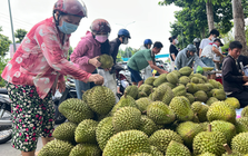 Sầu riêng lấy lại đà tăng giá