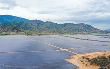 Tập đoàn Xuân Thiện bị phạt do không công bố thông tin