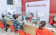 Agribank dự kiến chào bán tối đa 15.000 tỷ đồng trái phiếu