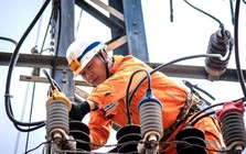 EVN miền Bắc lập đỉnh lợi nhuận 1.365 tỷ, tăng 70% trong năm 2025