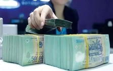 Sau nghỉ lễ, cổ đông nhiều doanh nghiệp 'rủng rỉnh' cổ tức tiền mặt