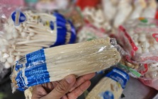 Nấm trôi nổi bủa vây chợ dân sinh TP.HCM: Người mua đang ‘đánh cược’ sức khỏe