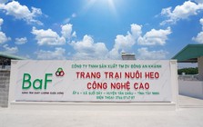 Cầm cố loạt công ty con, BAF vay 1.270 tỷ đồng từ 'đại gia' Hà Lan