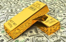 Khai báo không trung thực về ngoại tệ, vàng khi xuất, nhập cảnh bị xử phạt như thế nào?
