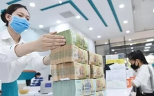 Nhiều doanh nghiệp phụ thuộc vào tài sản thế chấp