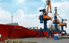 Nhóm Viconship nâng sở hữu lên 22,3% vốn tại Vận tải xếp dỡ Hải An