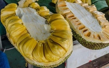 Lời khuyên khi mua mít