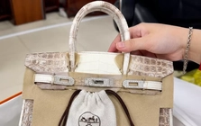 'Đại gia bí ẩn' chi hơn 14 tỷ mua 2 túi Hermès bạch tạng của bà Trương Mỹ Lan