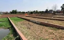 Rà soát diện rộng tình trạng phân lô bán nền tự phát