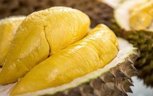 Dân tình phát sốt vì "sầu riêng"vào mùa: Ăn thường xuyên, cơ thể có thể gặp loạt biến đổi bất ngờ