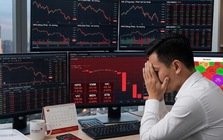 VN-Index mất gần 20 điểm, một cổ phiếu vẫn "tỏa sáng"