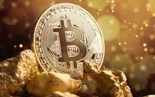 Nhà đầu tư ồ ạt rút vốn khỏi Bitcoin khi giá phục hồi