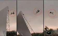 Người đàn ông bị bão hất văng lên cao 15m, khoảnh khắc được camera ghi lại khiến dân mạng bàng hoàng