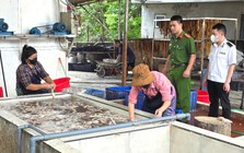 Phát hiện hơn 3 tấn lòng lợn thối chuẩn bị tiêu thụ tại Bắc Ninh