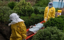 Dịch Ebola lan nhanh ở Congo