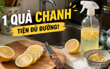 Từ thứ hay bị mốc trong tủ lạnh, chanh giờ trở thành “trợ thủ” số 1 trong căn bếp của tôi: 15 công dụng vừa sạch nhà vừa đỡ tốn tiền