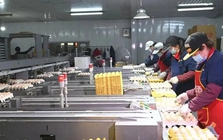 "Đột nhập" nhà máy sản xuất 450.000 quả trứng tươi/ngày, phát hiện "thông tin" về dây chuyền chế biến được đầu tư hơn 193 tỷ đồng