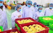 Nông sản Việt thích ứng quy định từ Trung Quốc