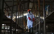 Congo: Khu điều trị bệnh nhân Ebola bị phóng hỏa, 18 ca nghi nhiễm bỏ trốn