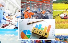 Phân công lãnh đạo Chính phủ theo dõi, chỉ đạo các địa phương thực hiện mục tiêu tăng trưởng kinh tế trên 10%