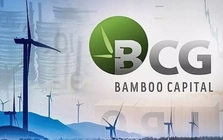 Số phận cổ phiếu Bamboo Capital