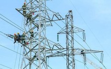 "Ông lớn” xây lắp điện Việt Nam lên tiếng về thông tin tham gia đường dây 500kV mạch 3, cổ phiếu bật tăng kịch trần