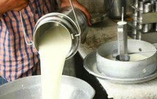 Đột kích một căn nhà, công an triệt phá đường dây sản xuất sữa giả từ hóa chất, tịch thu bột mì, sorbitol và máy pha trộn công nghiệp