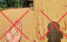 Cần xử nghiêm người đăng ảnh AI gây hoảng sợ trong nắng nóng cực độ ở miền Bắc