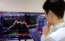Gần 200 cổ phiếu tăng giá, vì sao VN-Index vẫn mất điểm?