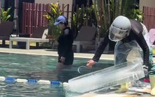 Resort Hội An thả khối đá khổng lồ xuống bể bơi, khách Tây giải nhiệt cấp tốc: “Sao giống cách mẹ tôi làm mát bát canh rau luộc vậy?”