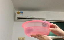 Đặt chậu nước trong phòng điều hòa có tác dụng thật không? Nhiều nhà làm bao lâu mà không rõ