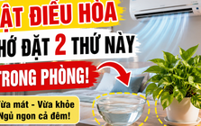 Trước khi bật điều hòa, người khéo thường đặt thêm 2 thứ này trong phòng: Vừa dễ ngủ vừa đỡ khô da