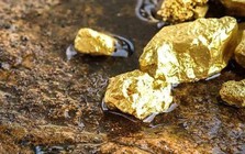 Mỏ vàng lớn nhất Việt Nam