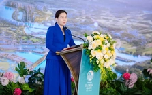 Nhiều người lo giá vàng tăng dựng đứng Vinhomes sẽ vỡ trận: Sếp Vinhomes khẳng định không mạo hiểm với vận mệnh của DN và chỉ thẳng lưu ý quan trọng với người tham gia