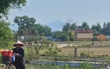 Đà Nẵng ban hành đơn giá bồi thường mới